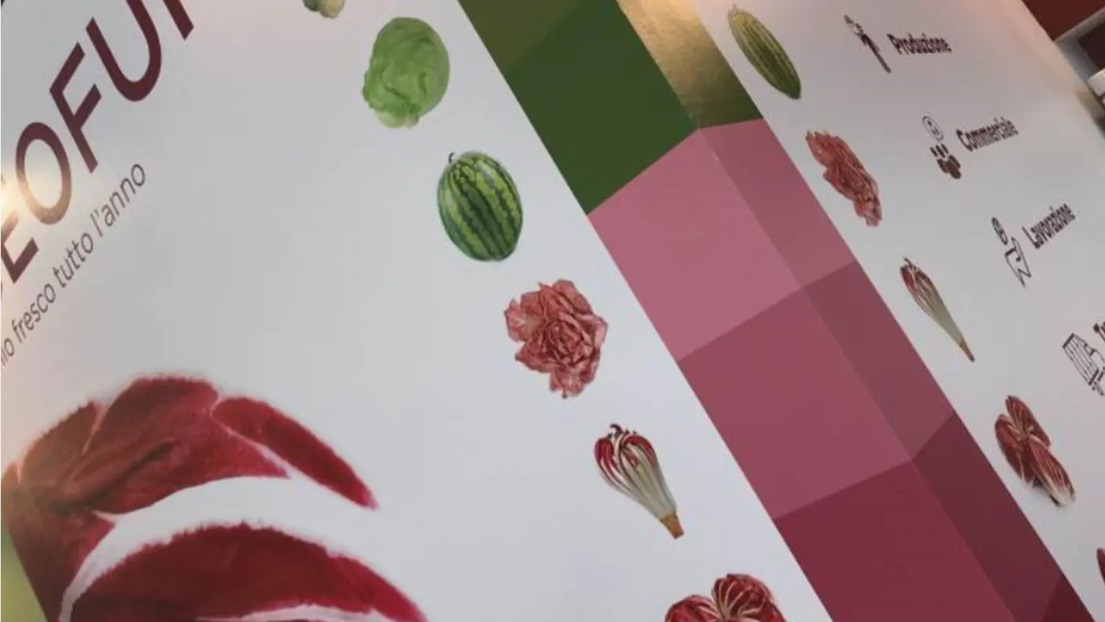 geofur-macfrut-2018-foglia