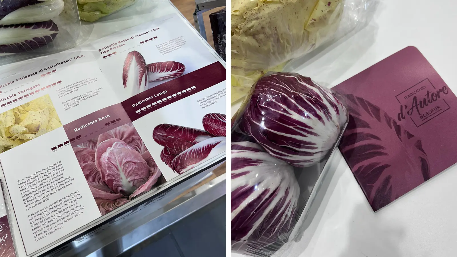 GEOFUR FRUITLOGISTICA - SITO3