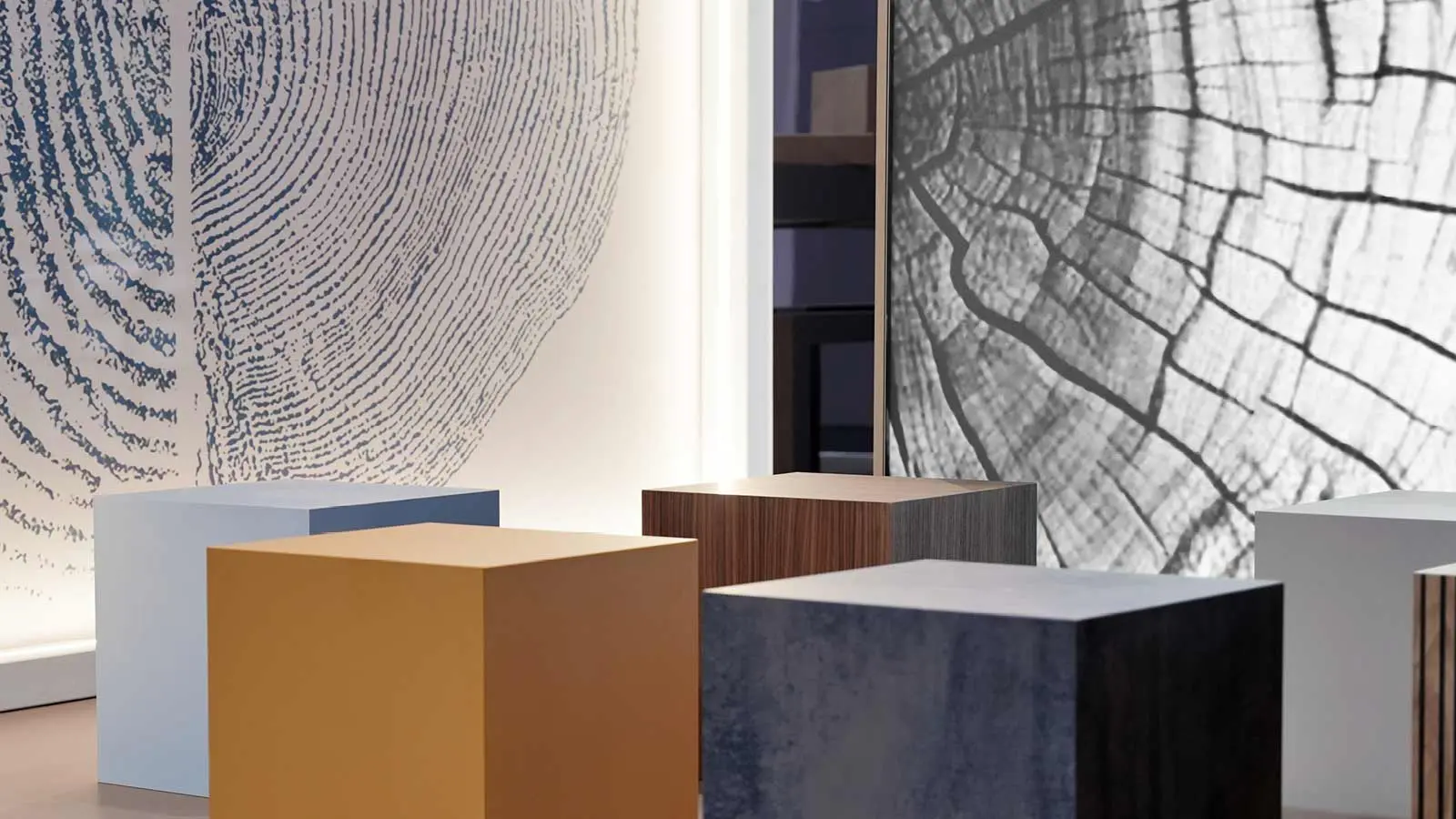 SAVIOLA-EUROSHOP---SITO9