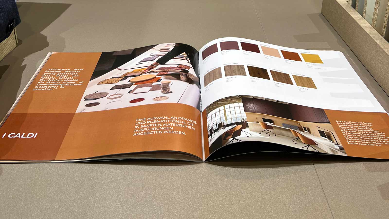 SAVIOLA-BROCHURE---SITO3